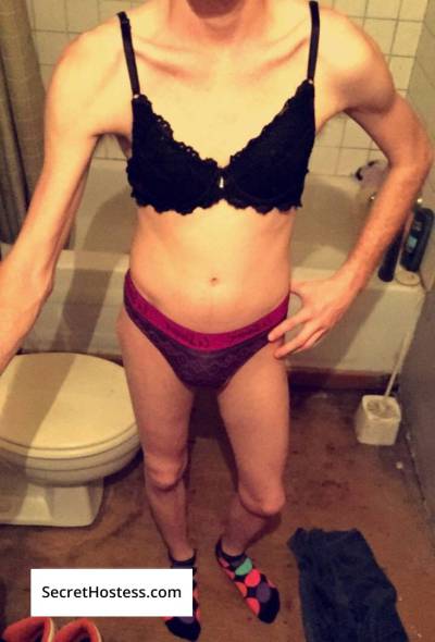 Sissyboytoy 26Yrs Old Escort 50KG 168CM Tall North Bay Image - 10