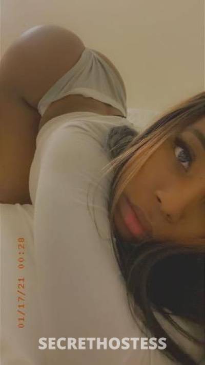 21Yrs Old Escort Bronx NY Image - 2