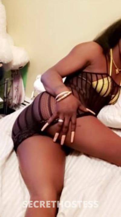 24Yrs Old Escort Bronx NY Image - 1