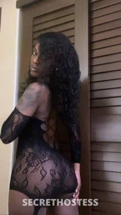 25Yrs Old Escort Chicago IL Image - 0