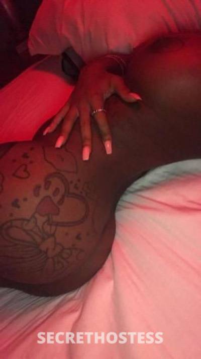 26Yrs Old Escort Chicago IL Image - 1