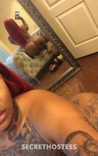 26Yrs Old Escort North Jersey NJ Image - 0