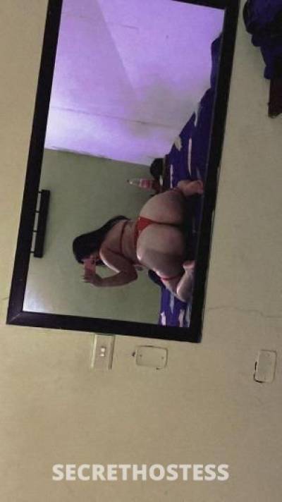 27Yrs Old Escort Northern Virginia DC Image - 1