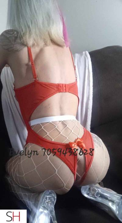 28Yrs Old Escort 167CM Tall Sault Ste Marie Image - 7