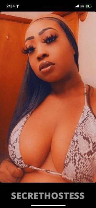 Bree 23Yrs Old Escort Chambana IL Image - 2