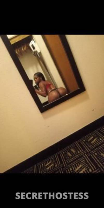 Diamond 28Yrs Old Escort 162CM Tall Hartford CT Image - 1