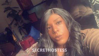 KEE&HARMONY 24Yrs Old Escort Wilmington DE Image - 4