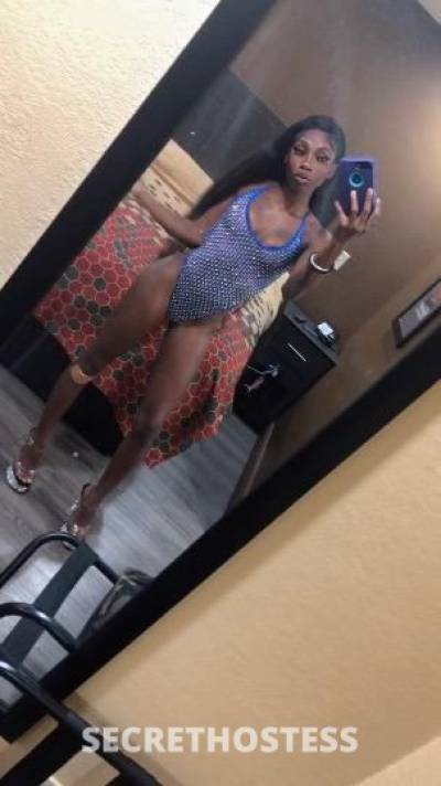 Pebbles 22Yrs Old Escort Orlando FL Image - 3