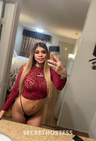 28Yrs Old Escort Albuquerque NM Image - 1