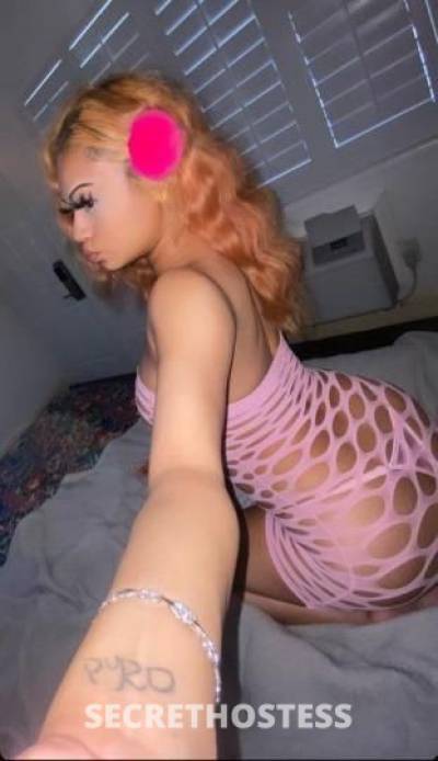 Layla 21Yrs Old Escort Oakland CA Image - 1