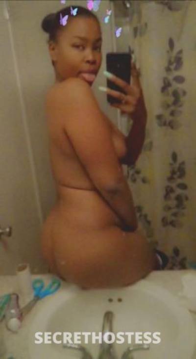 Nini 25Yrs Old Escort San Jose CA Image - 1