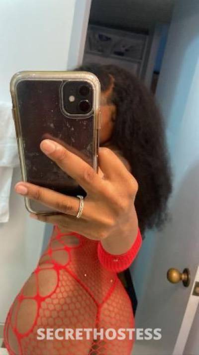 Sapphire 21Yrs Old Escort San Jose CA Image - 0