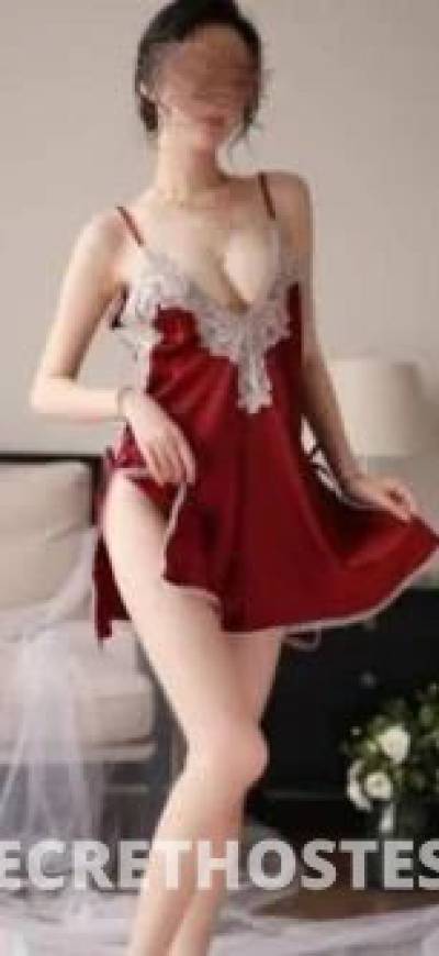 Sophia 25Yrs Old Escort Brisbane Image - 8