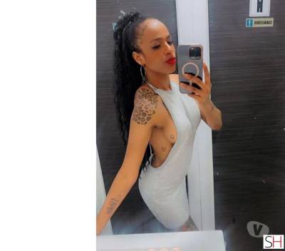 25 year old Latino Escort in Brighton East Sussex ???STEYCY?? NEW IN TOWN ???Real 100%?PARTY GIRL?, 