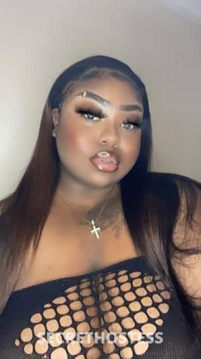 26Yrs Old Escort Tampa FL Image - 1