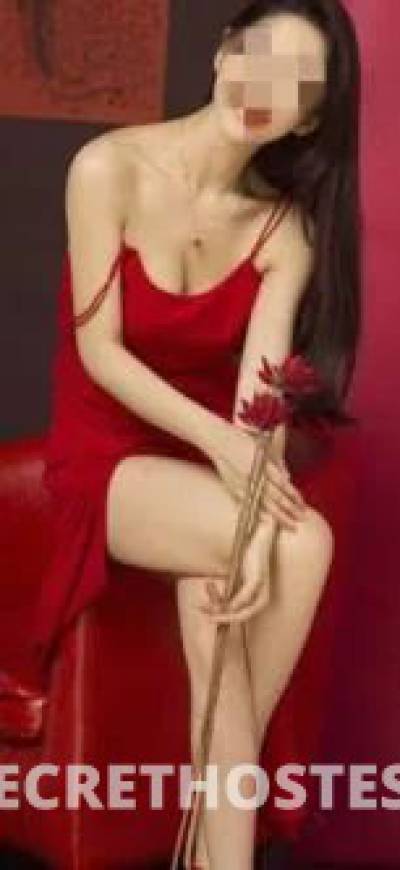 Cindy 28Yrs Old Escort Brisbane Image - 4