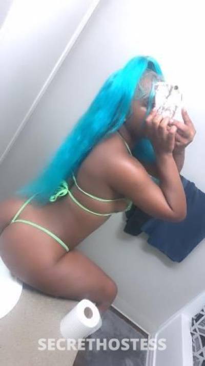 Hollysweets 19Yrs Old Escort Concord CA Image - 1