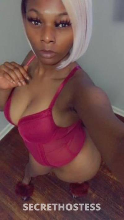 Luxury 24Yrs Old Escort North Mississippi MS Image - 4