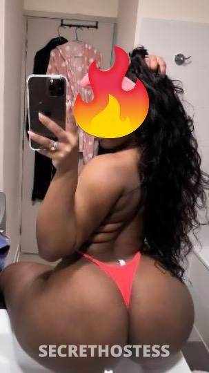 25Yrs Old Escort Fort Lauderdale FL Image - 0