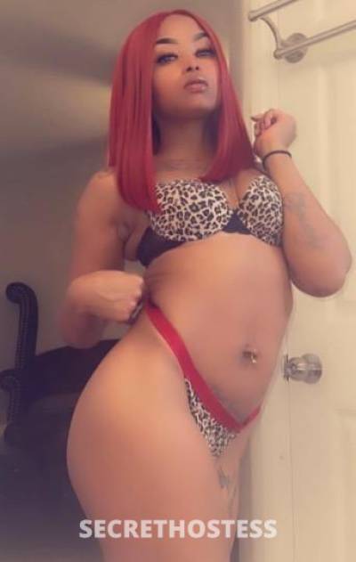 23Yrs Old Escort Raleigh NC Image - 1