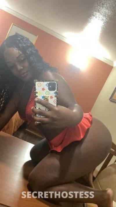 23 year old Escort in San Fernando Valley CA new playmate next door