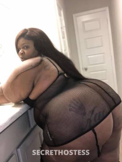 27Yrs Old Escort Los Angeles CA Image - 0