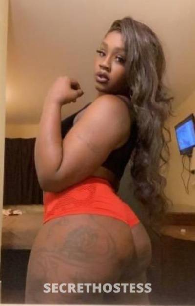 29 Year Old Hispanic Escort Fort Lauderdale FL - Image 1