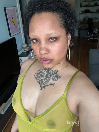 30Yrs Old Escort Size 10 172CM Tall Chicago IL Image - 4