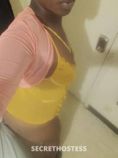 32Yrs Old Escort Miami FL Image - 2