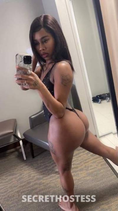 Barbie 24Yrs Old Escort Toledo OH Image - 3