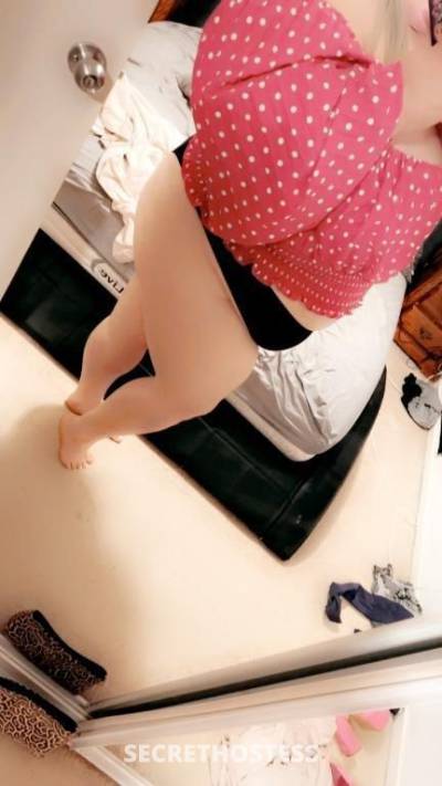 Nikki 26Yrs Old Escort Adelaide Image - 1