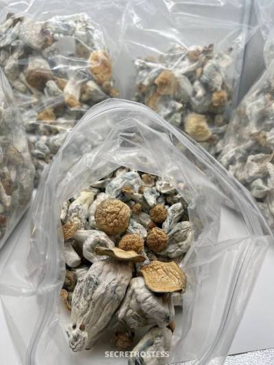 Rosemary 26Yrs Old Escort 167CM Tall Regina Image - 5