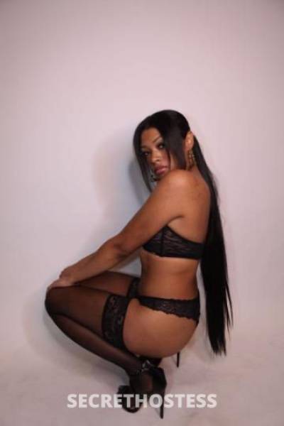 Sasha 26Yrs Old Escort Seattle WA Image - 8
