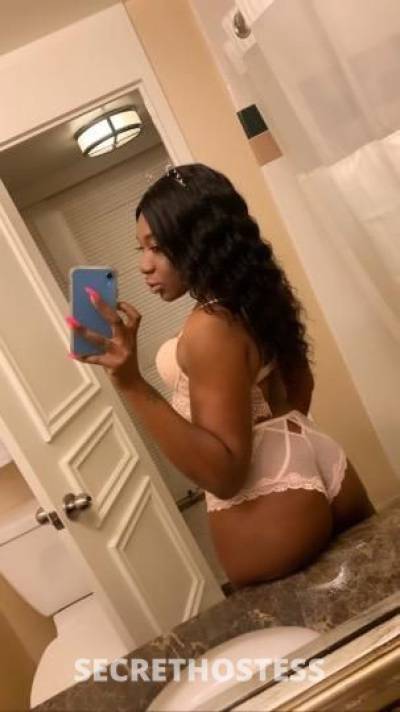 Tasha 26Yrs Old Escort Reno NV Image - 7