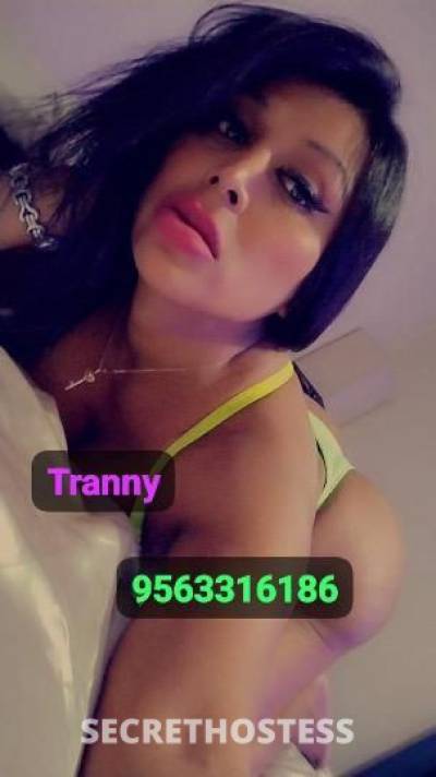 27Yrs Old Escort McAllen TX Image - 4