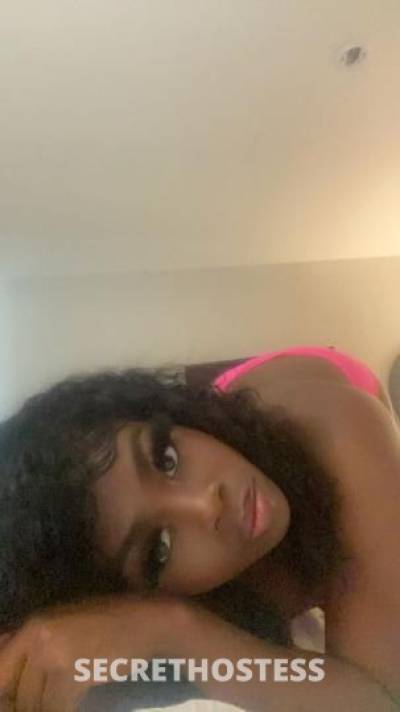 21Yrs Old Escort Dallas TX Image - 2