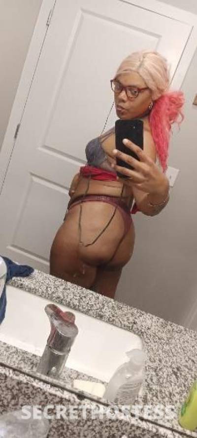 21Yrs Old Escort San Antonio TX Image - 0