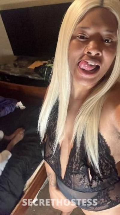 23Yrs Old Escort Dallas TX Image - 0