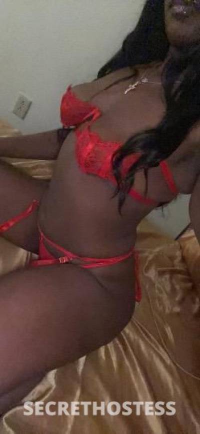 23Yrs Old Escort Toledo OH Image - 2