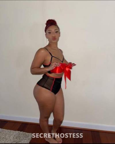 24Yrs Old Escort Bronx NY Image - 0