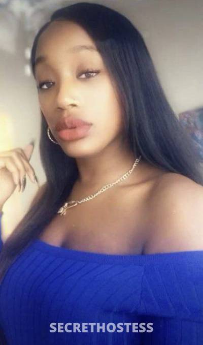 25 year old Middle Eastern Escort in Syracuse NY Hello Stranger