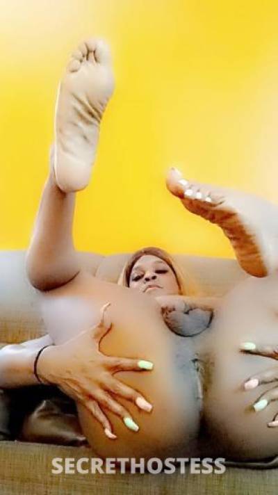 28Yrs Old Escort Charleston SC Image - 2