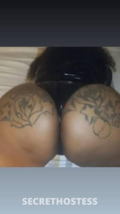 29Yrs Old Escort Dallas TX Image - 1