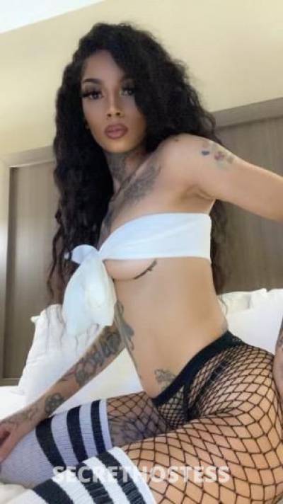 26 year old Escort in El Paso TX Every mans fantasy