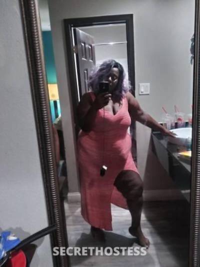 Ebony bbw fat ass wet pussy avalible now in Dallas TX