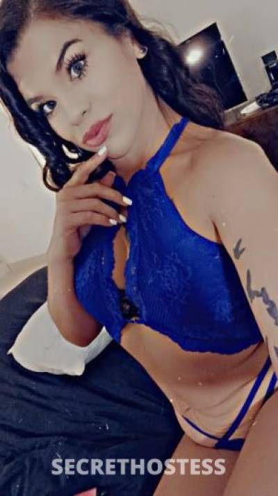 Bianca 28Yrs Old Escort Oakland CA Image - 6