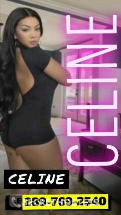 Celine 29Yrs Old Escort Hamilton Image - 1