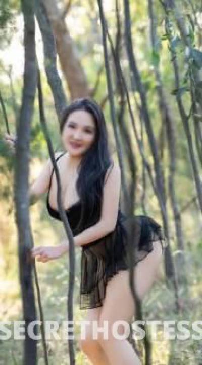 Darcy 23Yrs Old Escort Ballarat Image - 4