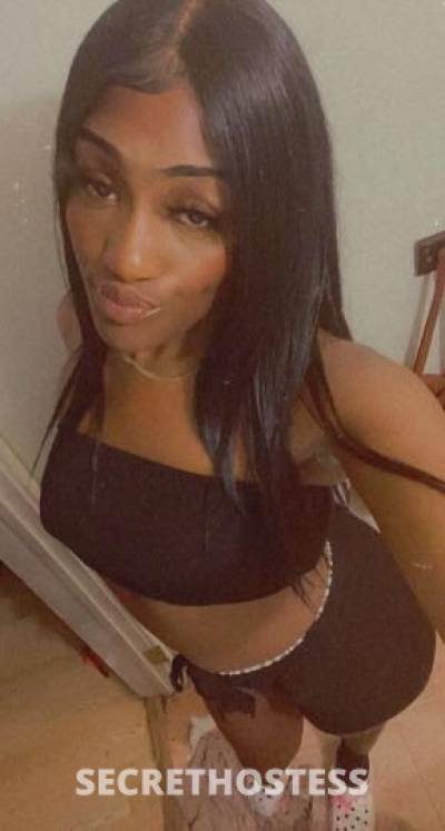 Dior 23Yrs Old Escort Denver CO Image - 3