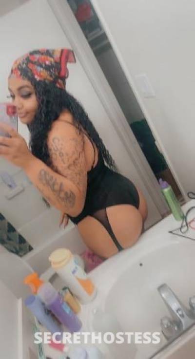 Gia 27Yrs Old Escort Long Beach CA Image - 3